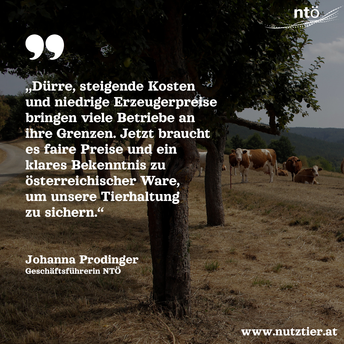 Dürre (c)